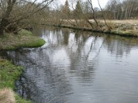 Zarybňování Litavky (16)